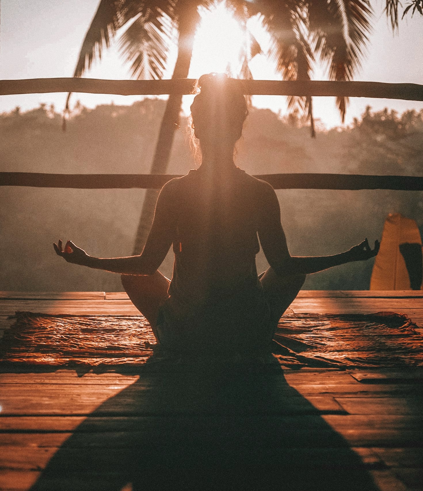 How Serendipity Shapes Our Daily Lives